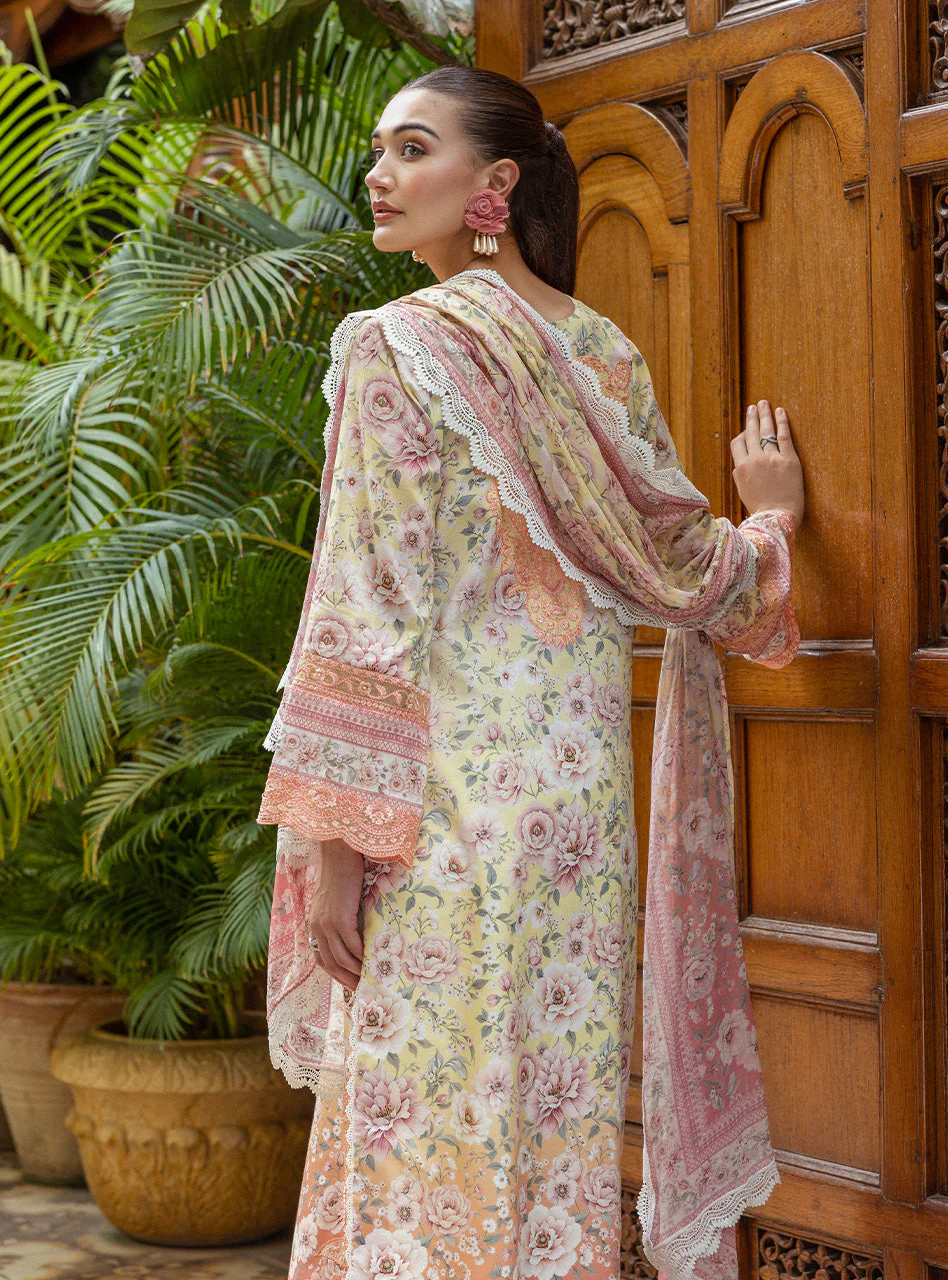 Pernia - Image 8